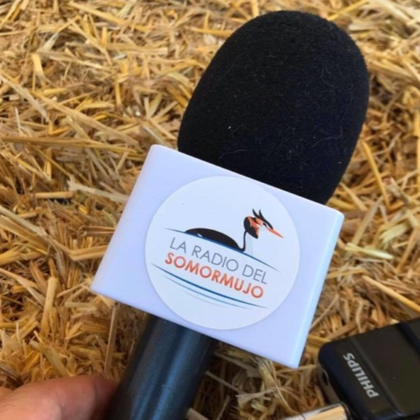 La Radio del Somormujo