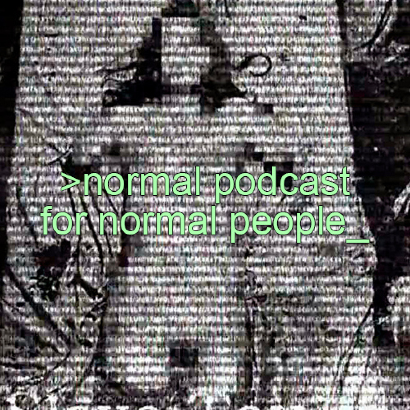 Normal Podcast for Normal People