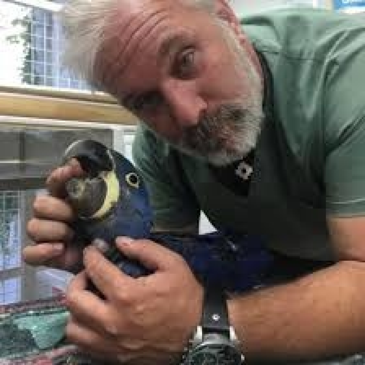 Vuelo de Regreso: ADRIÁN PETTA, VETERINARIO, ESPECIALISTA EN ANIMALES GRANDES episode artwork