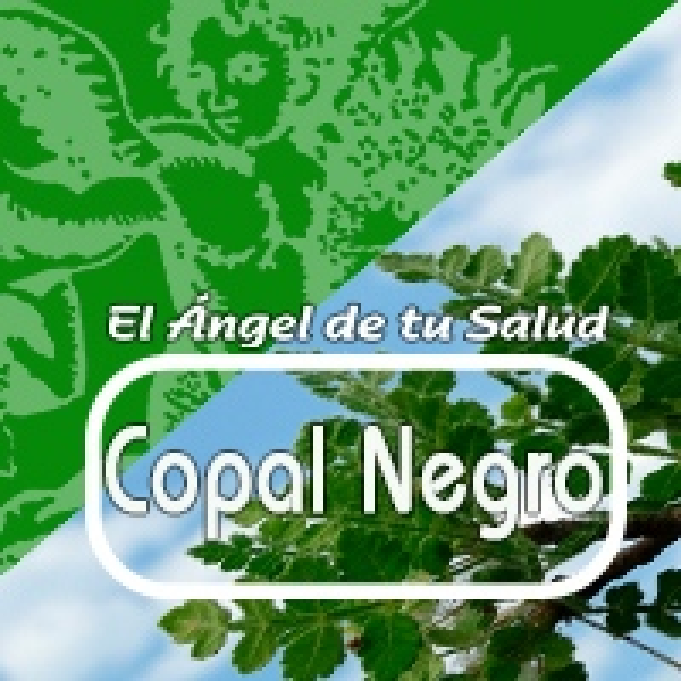 El Ángel de tu Salud - COPAL NEGRO** episode artwork