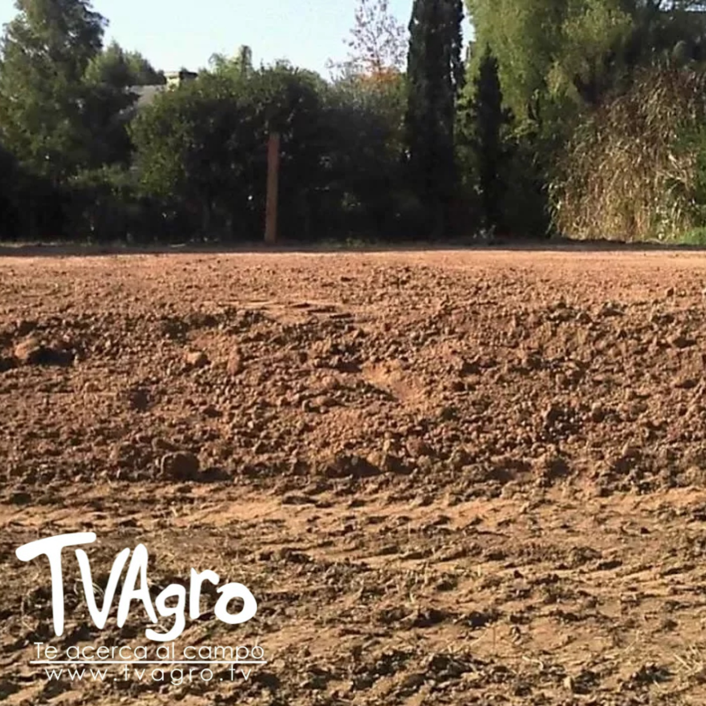 TV AGRO
