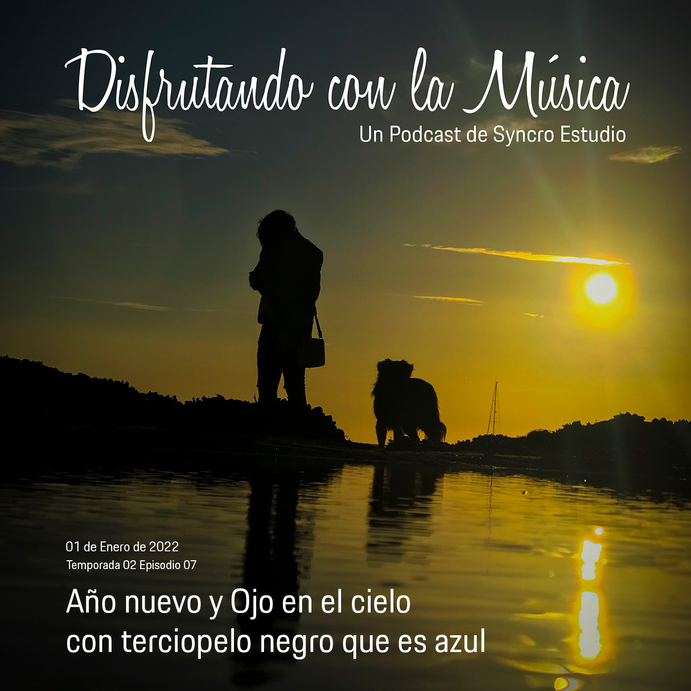 Disfrutando con la Música