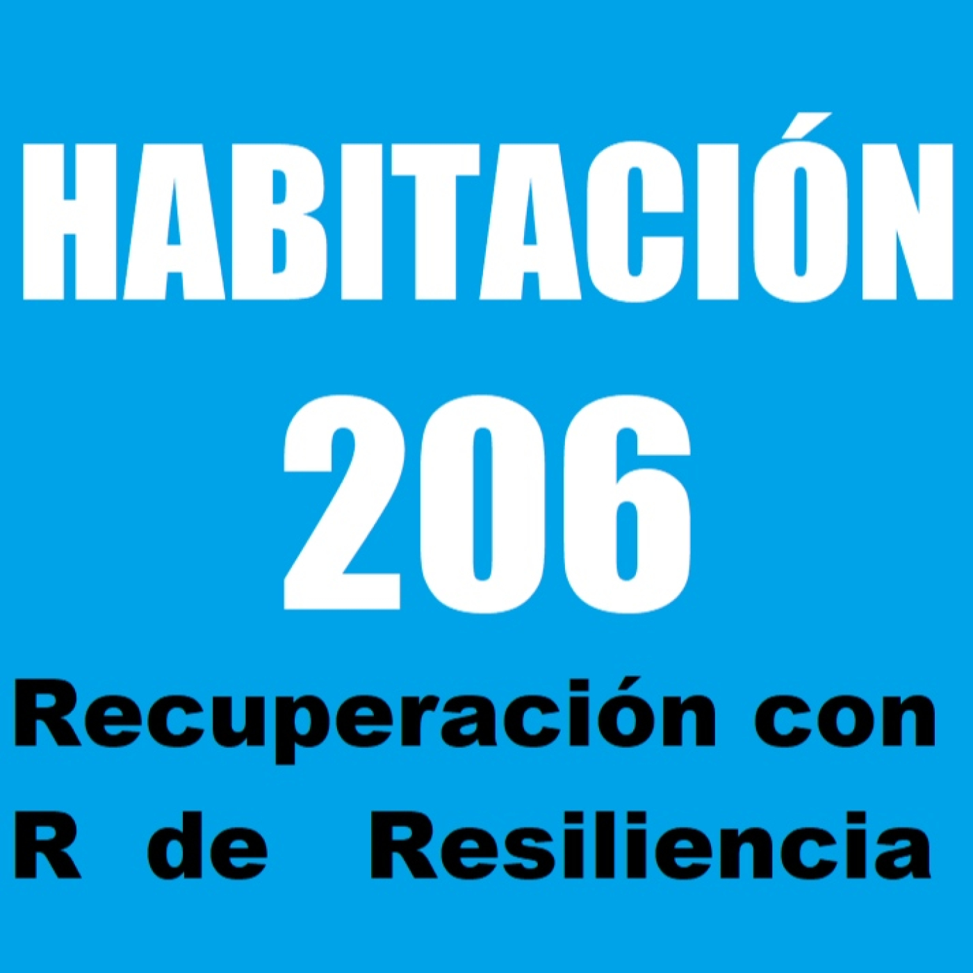 Habitación 206