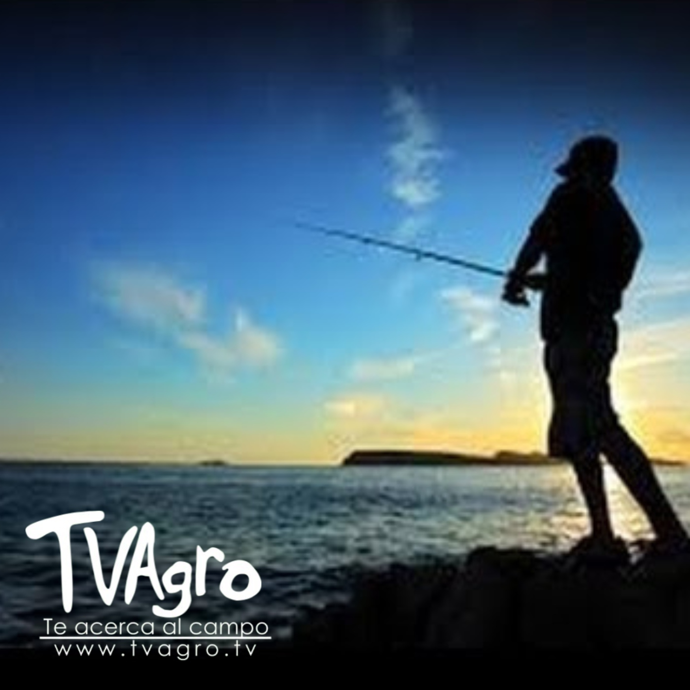 Pesca Deportiva - Bahía Solano - TvAgro por Juan Gonzalo Angel - TV AGRO -  Podcast en iVoox