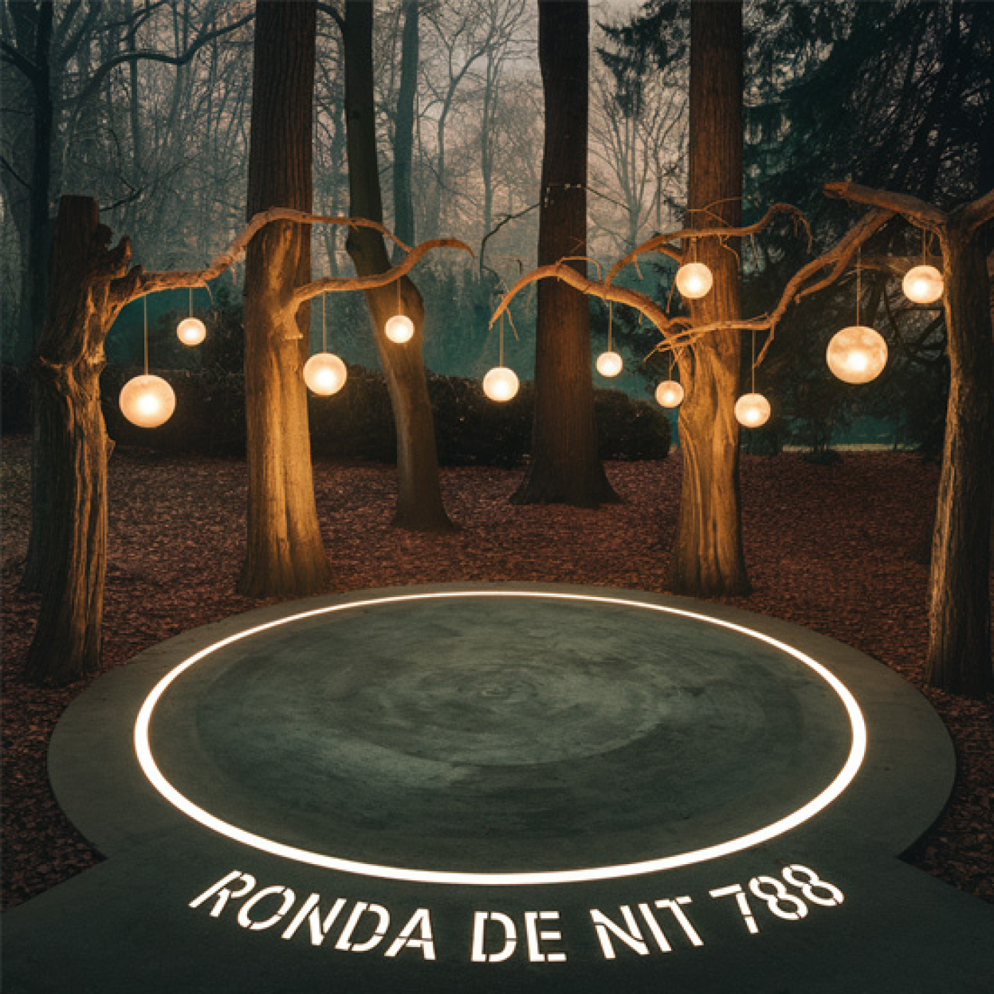 Ronda de Nit