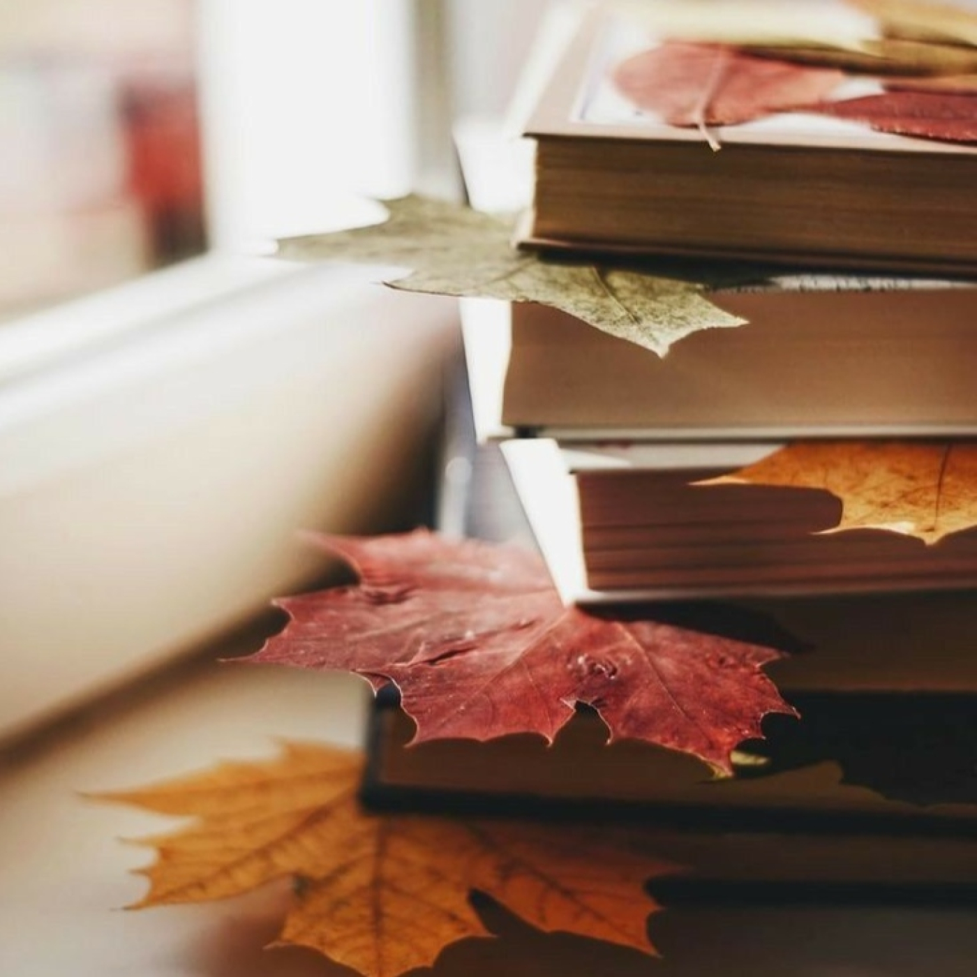 Los libros de Baker Street