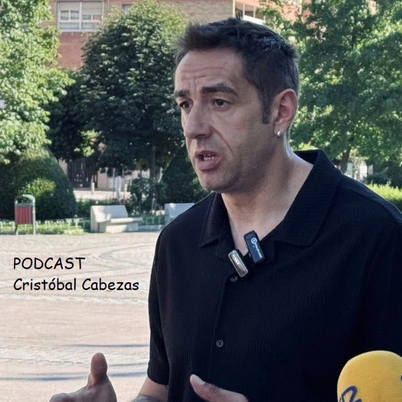 Emilio Delgado apuesta por la “geometría variable” de la izquierda episode artwork