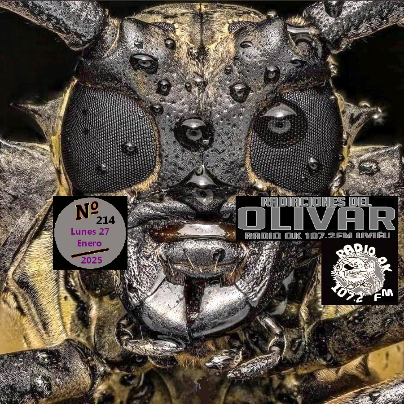 Radiaciones del Olivar