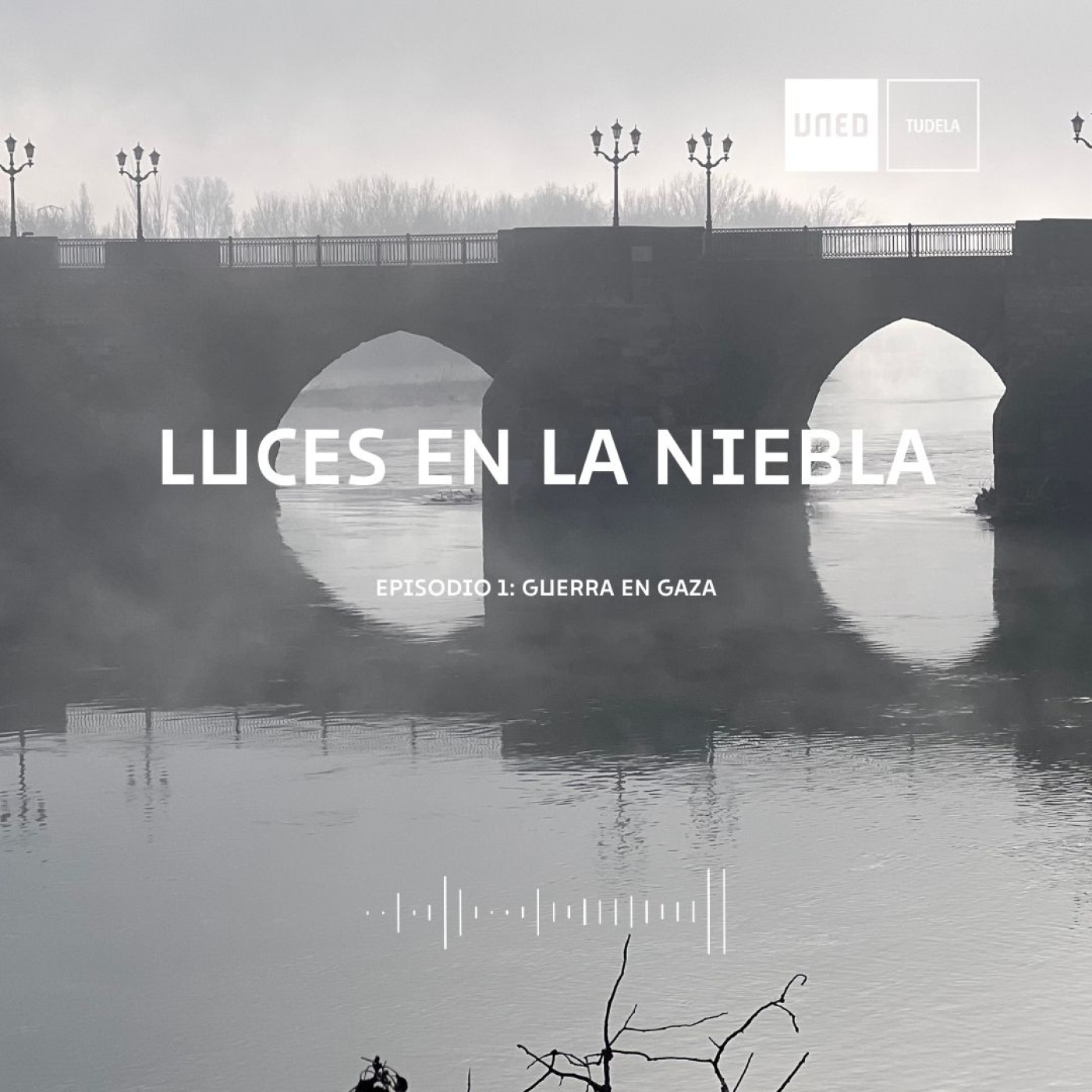 Luces en la niebla