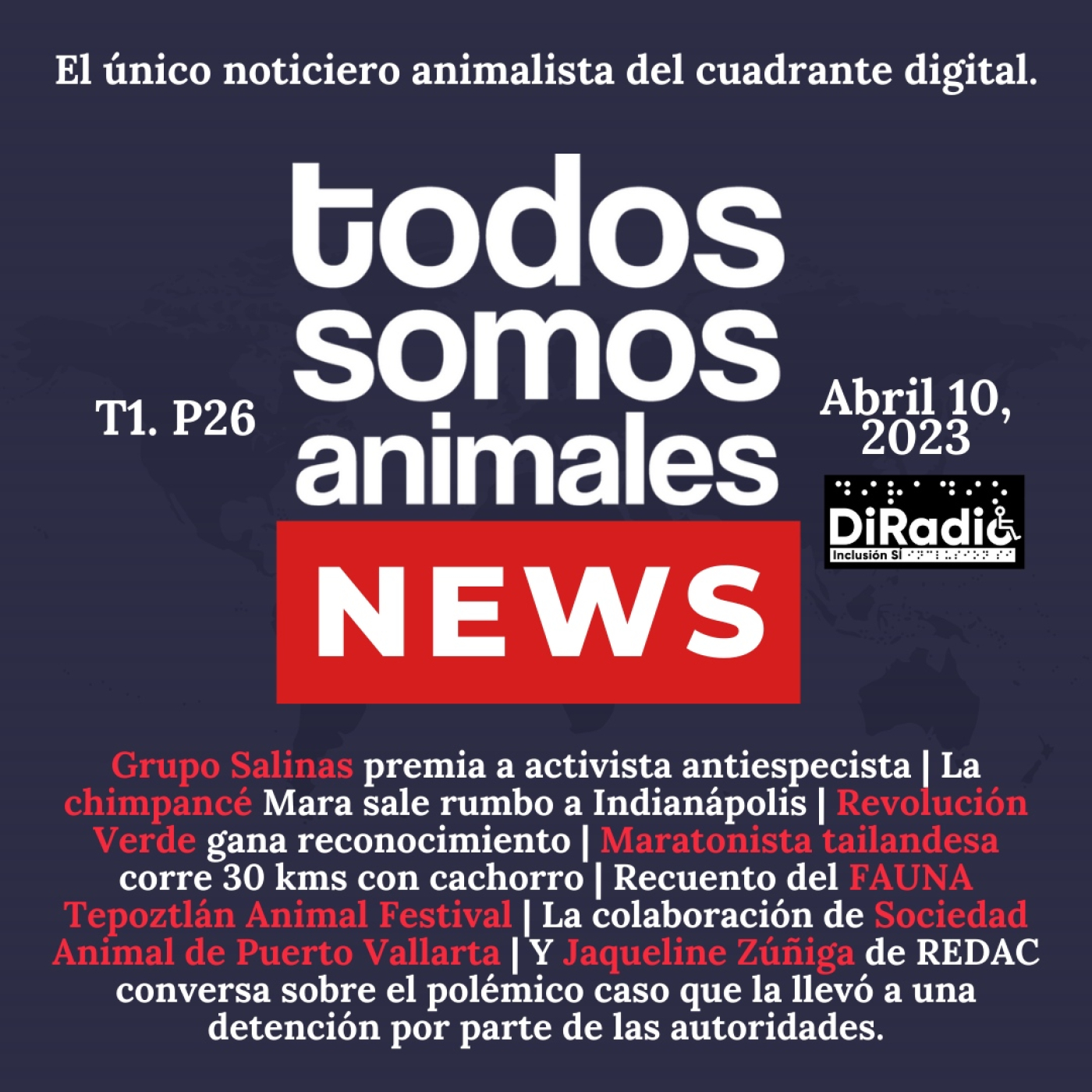 Todos Somos Animales News
