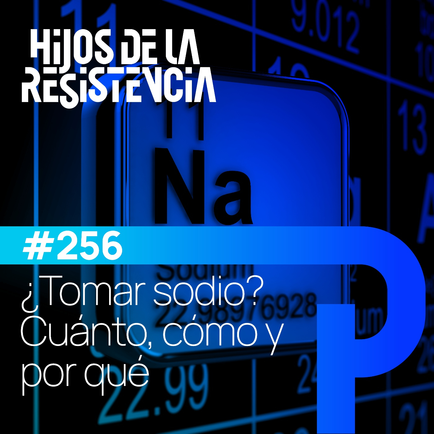 Hijos de la Resistencia