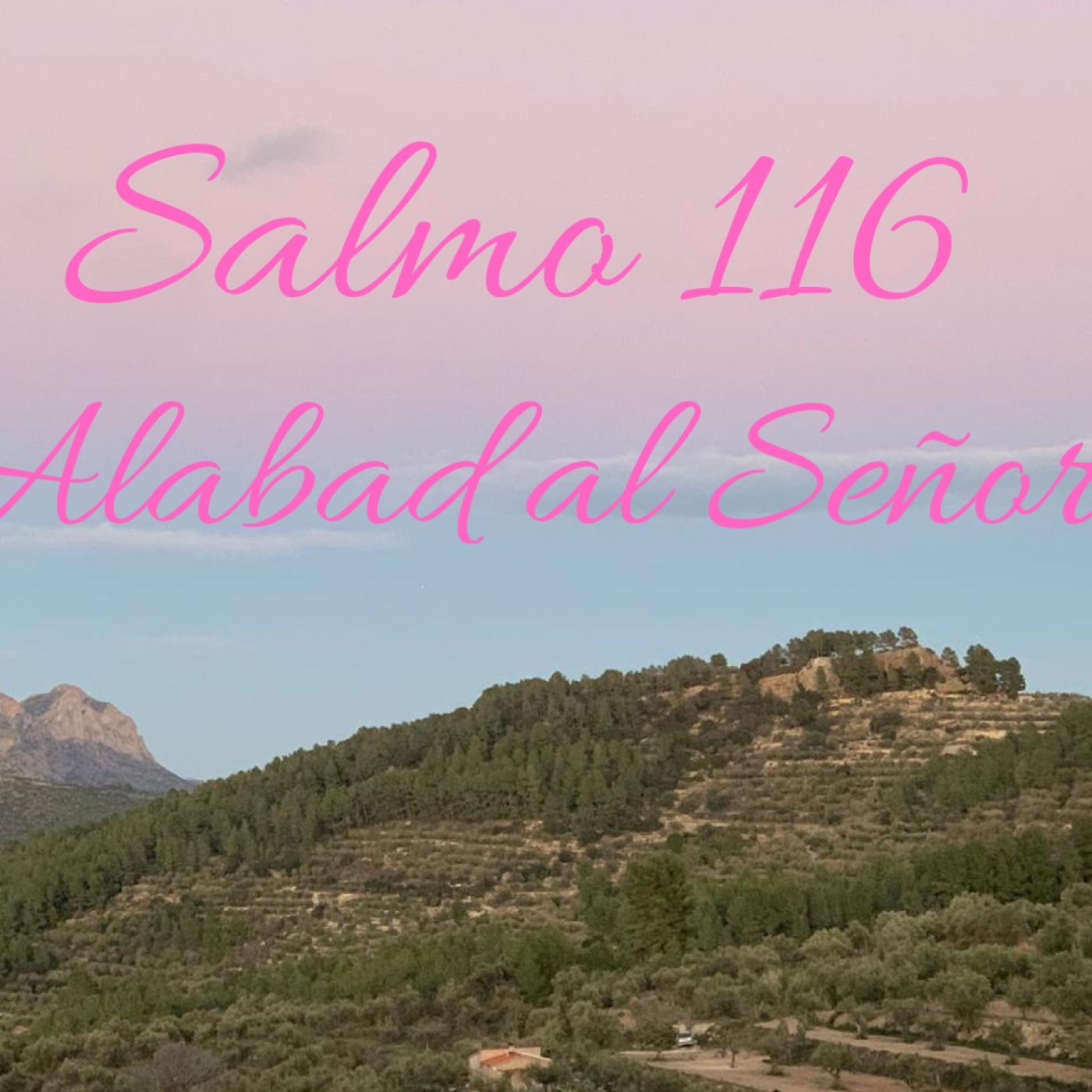 SALMO 116 episode artwork