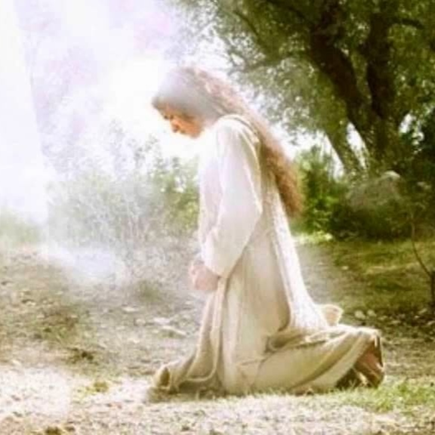 Liturgia Diaria