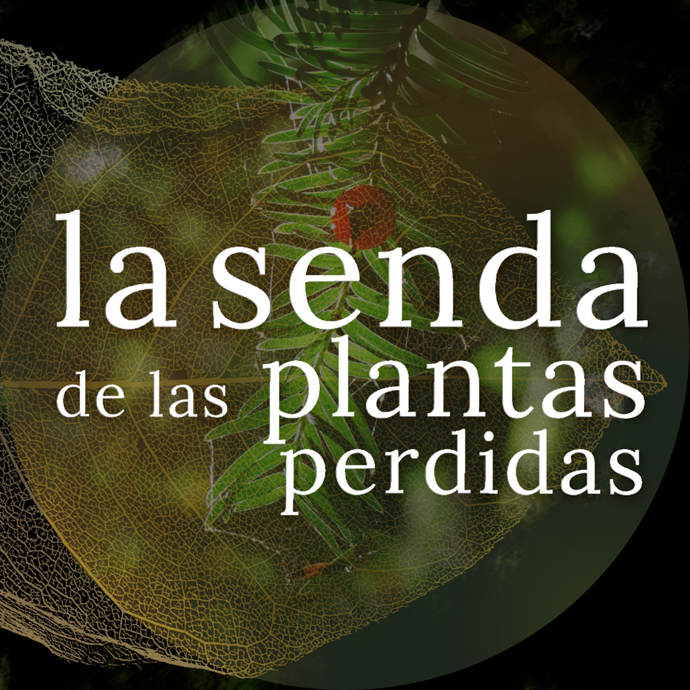 Episode Logo