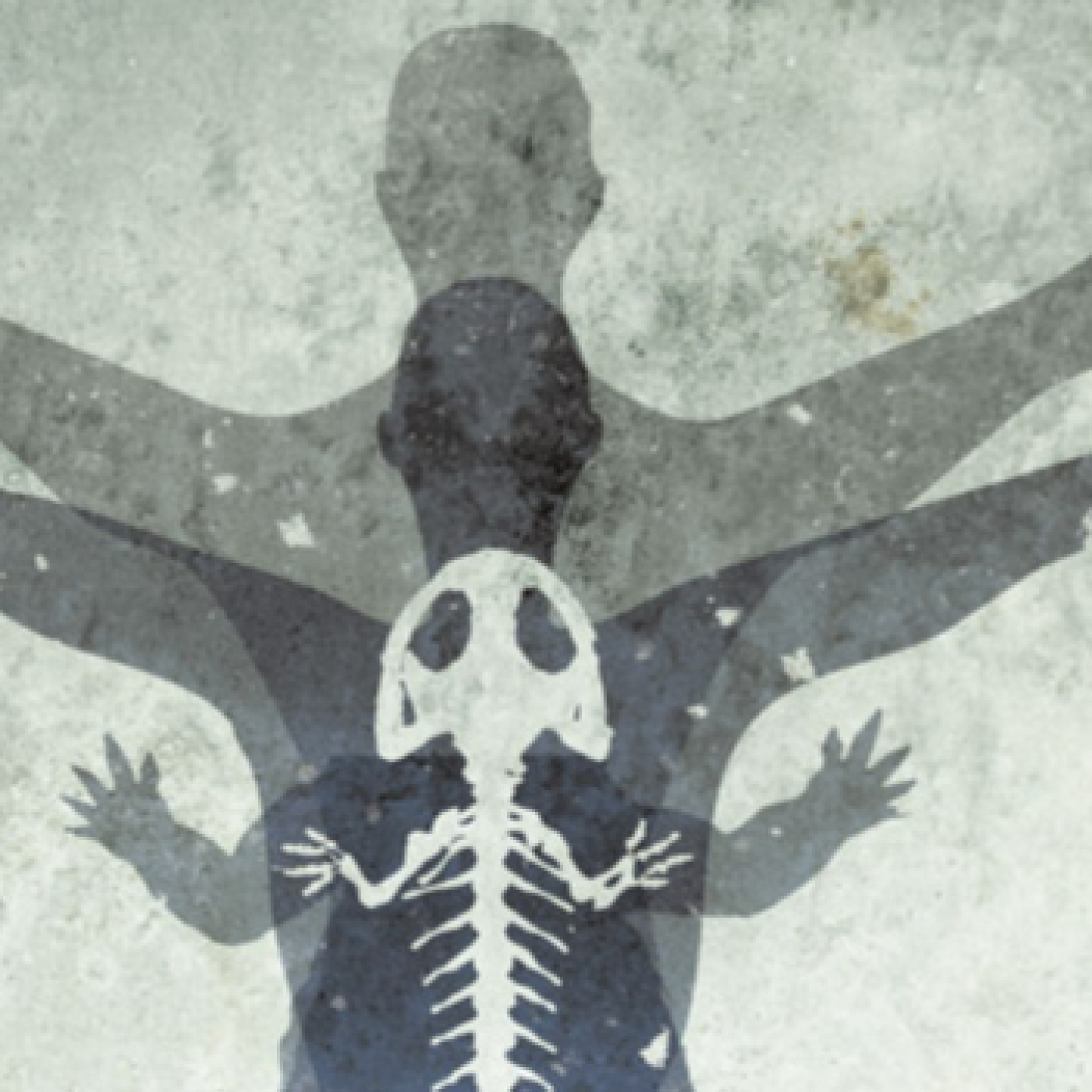 LDD17x43 - El origen evolutivo de la mano