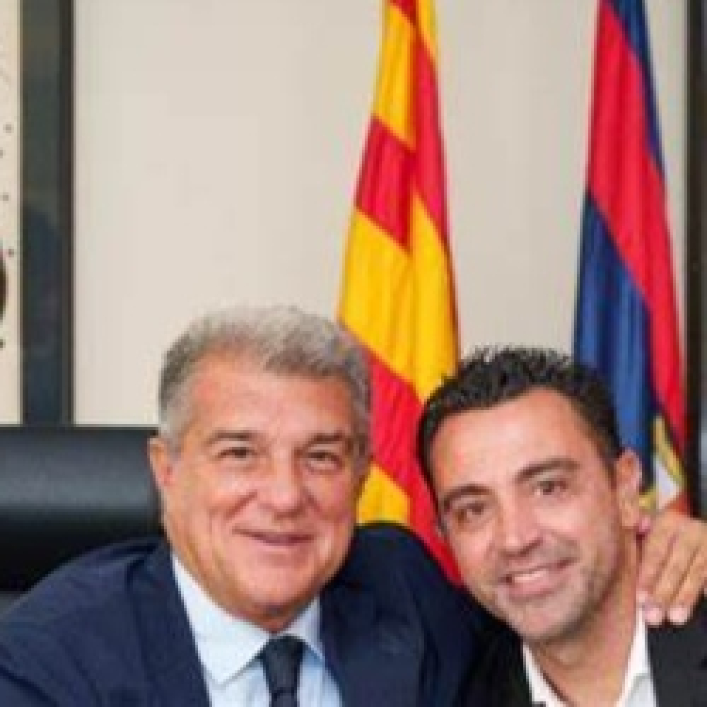 Mister Seitán