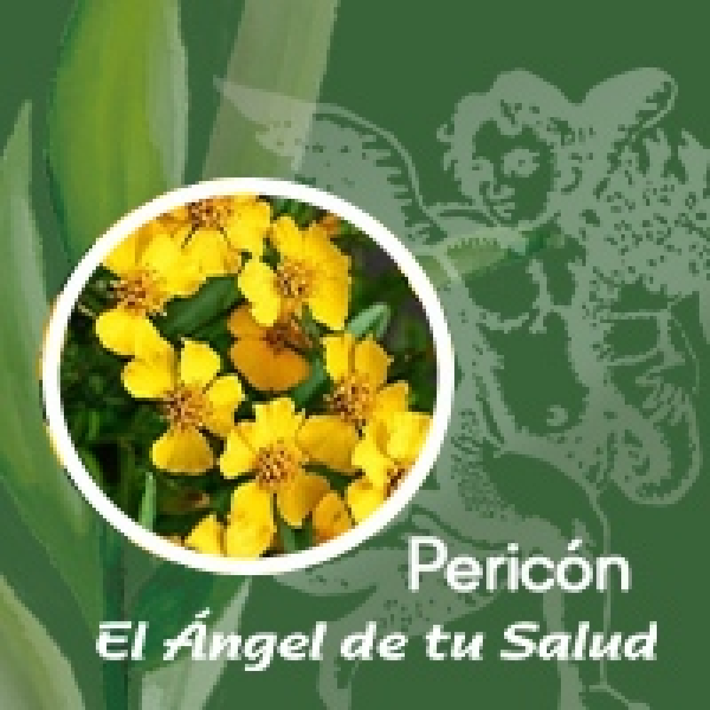 El Ángel de tu Salud - Pericón** episode artwork