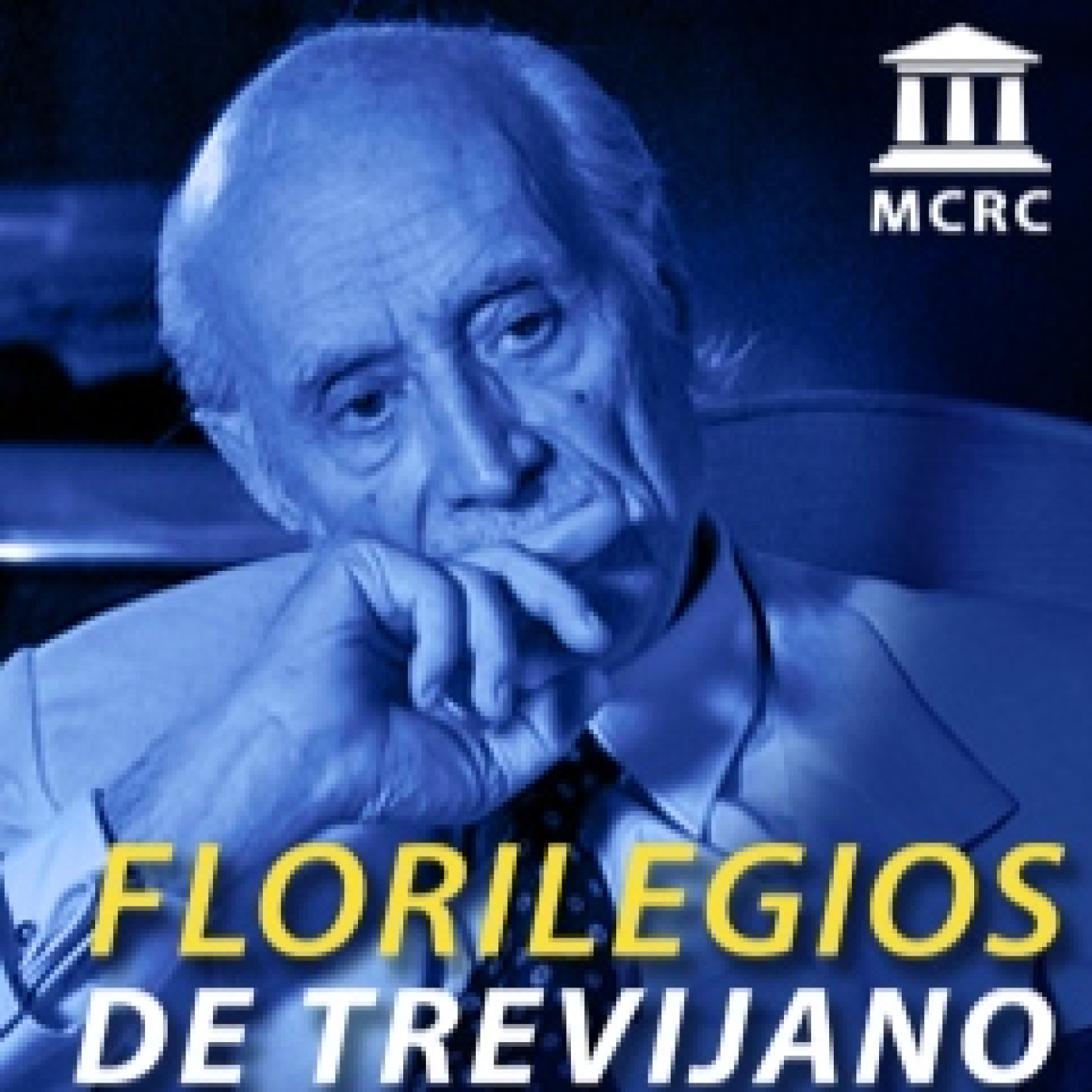 Radio Libertad Constituyente