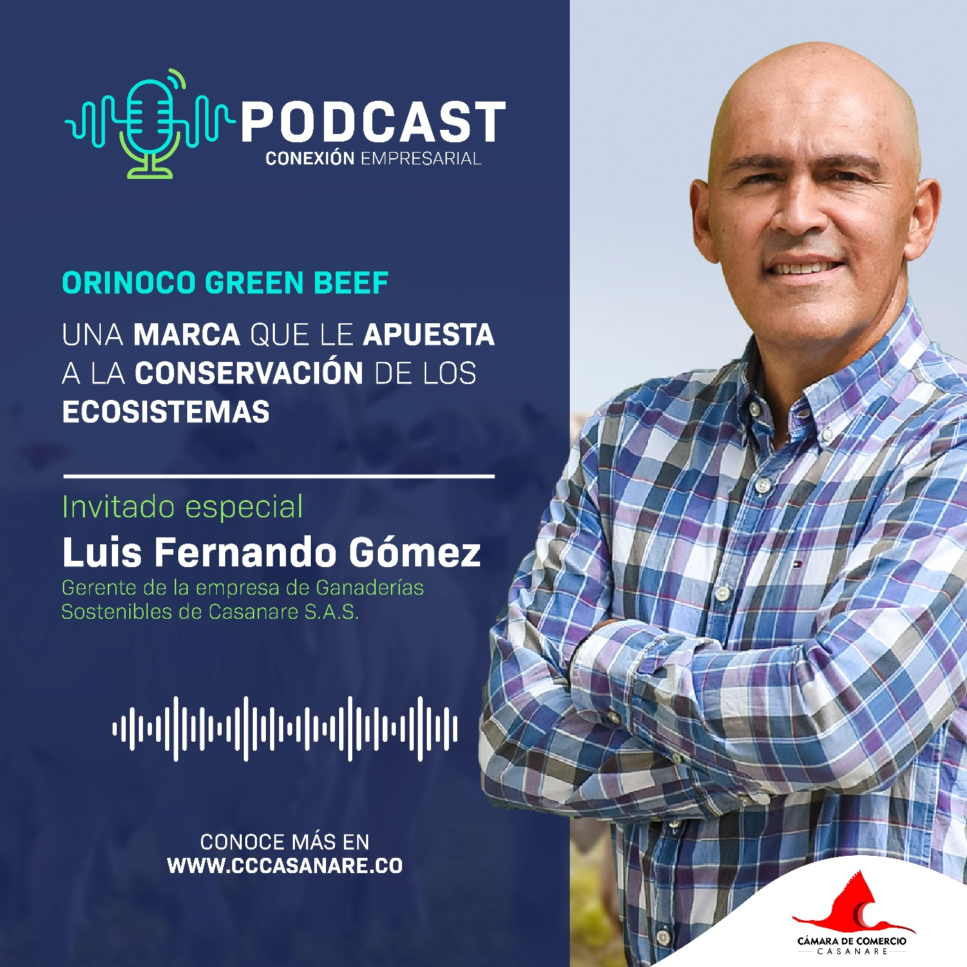 Cámara de Comercio de Casanare