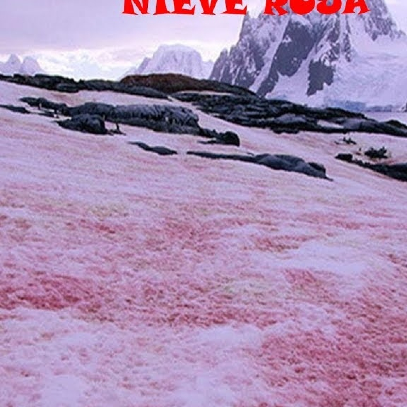 #Netcon2019 Fragmentos: "La nieve roja" episode artwork
