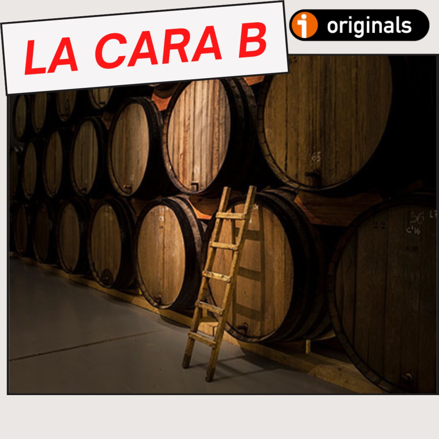 VINO PARA CAMALEONES