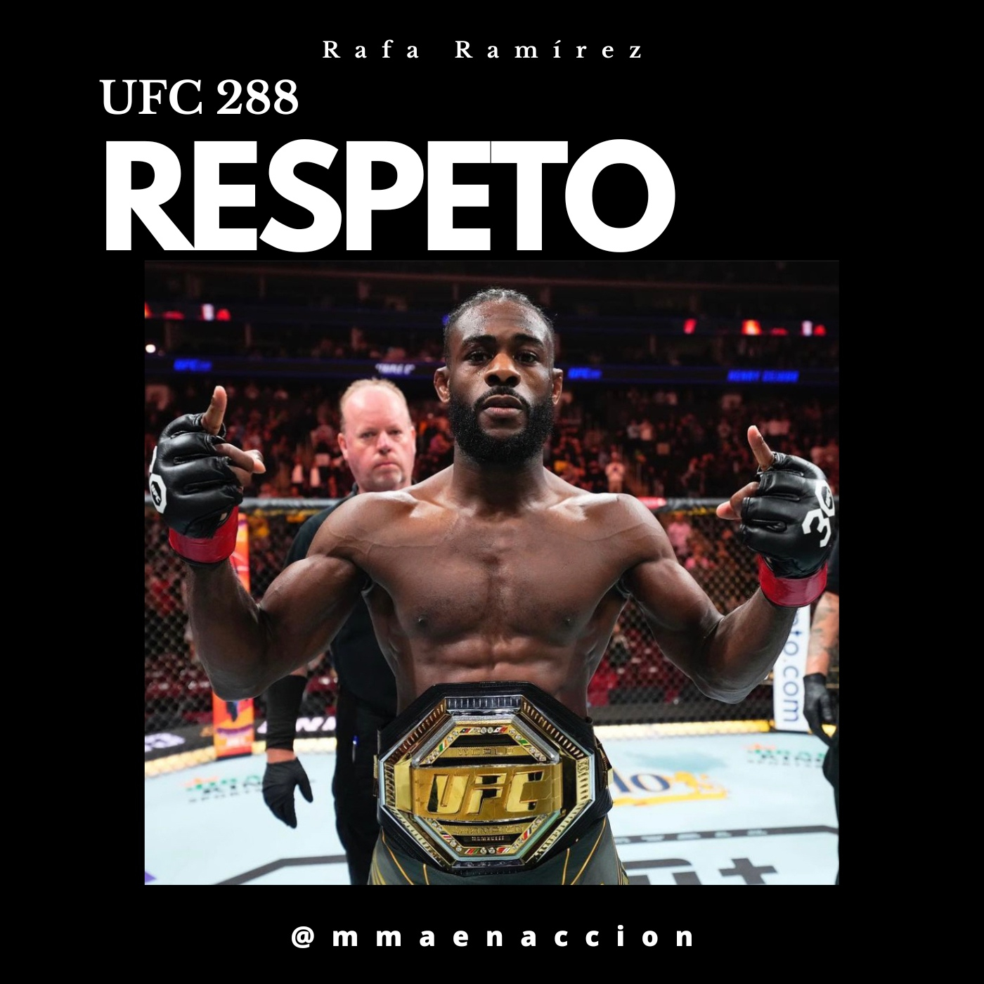 MMA en acción