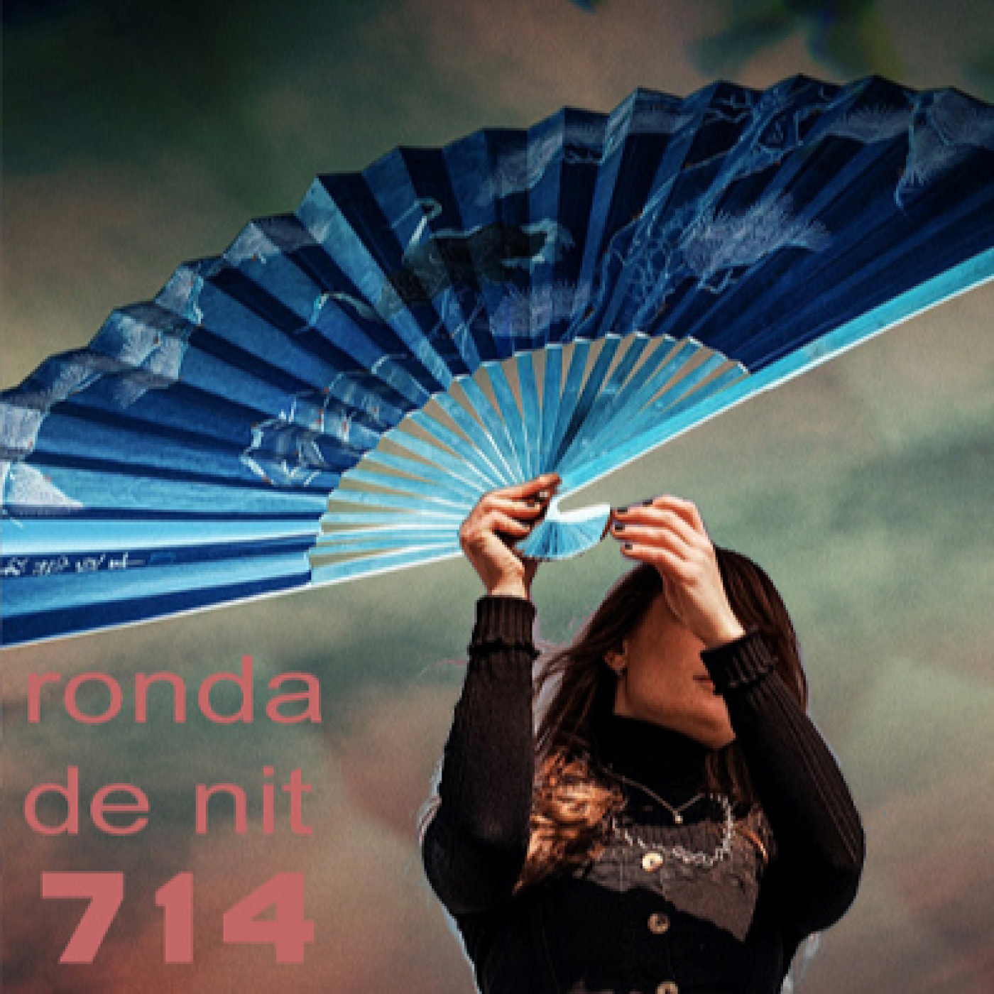 Ronda de Nit