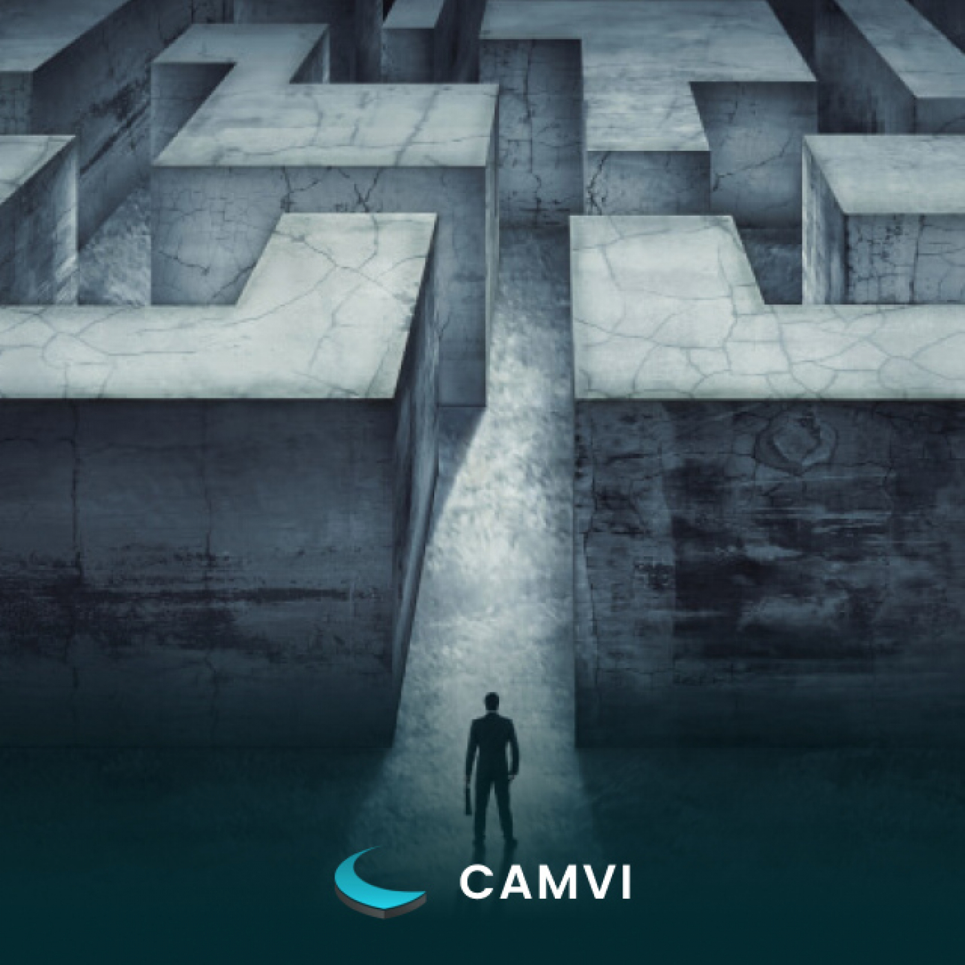 CAMVI