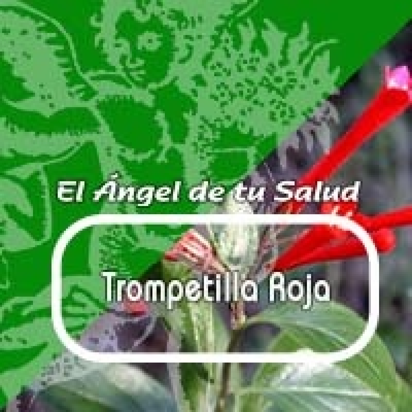 El Angel de tu Salud - TROMPETILLA ROJA *** episode artwork