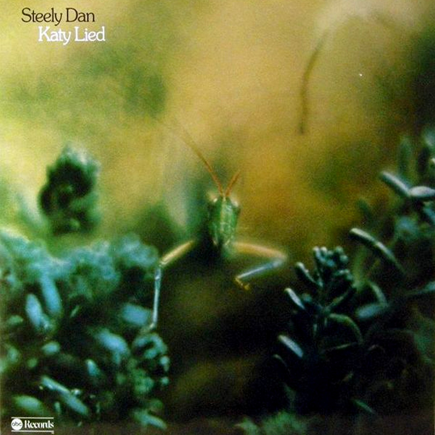 Música de ayer, de hoy y de mañana.