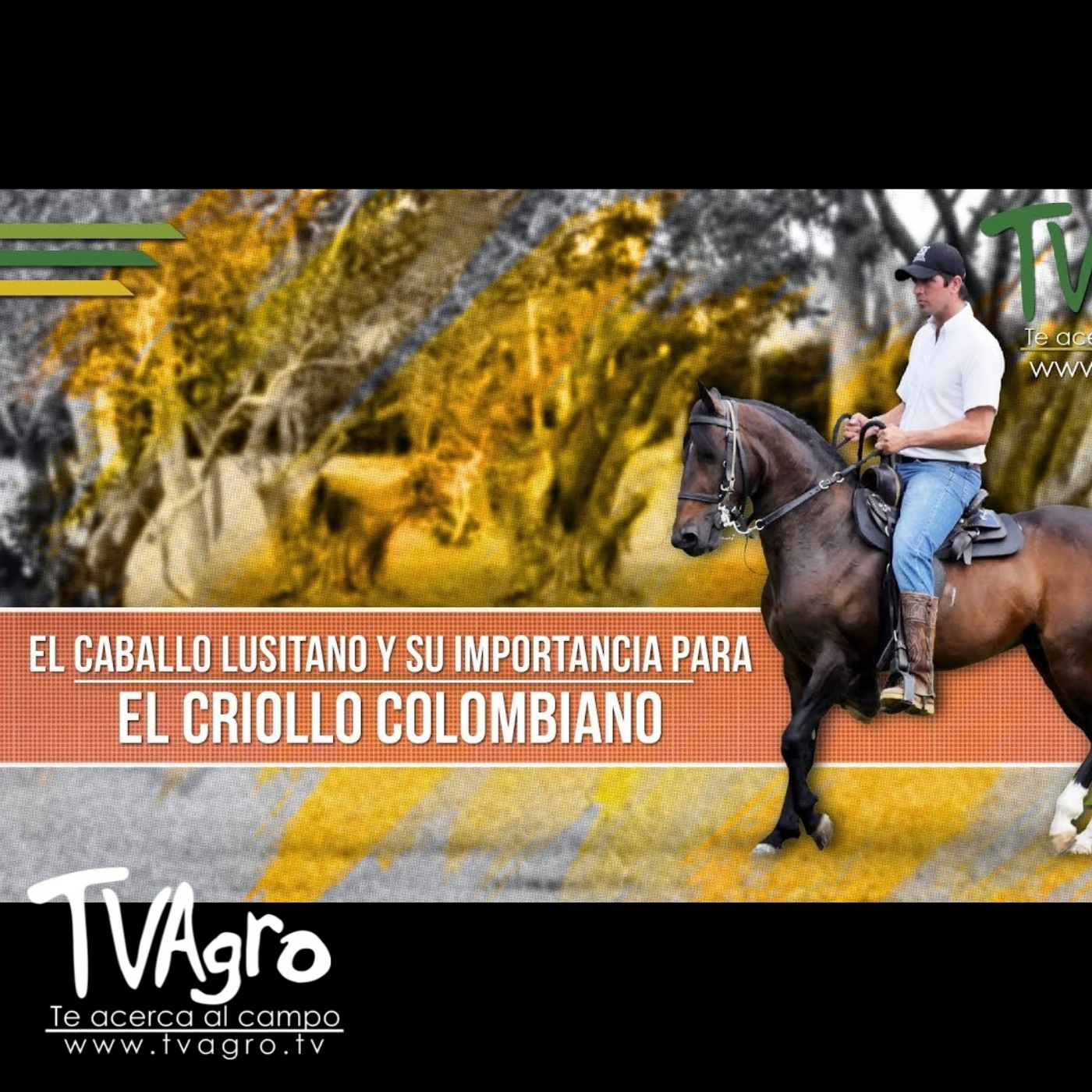 TV AGRO