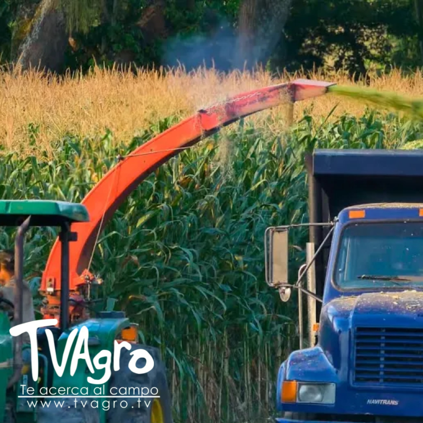 TV AGRO