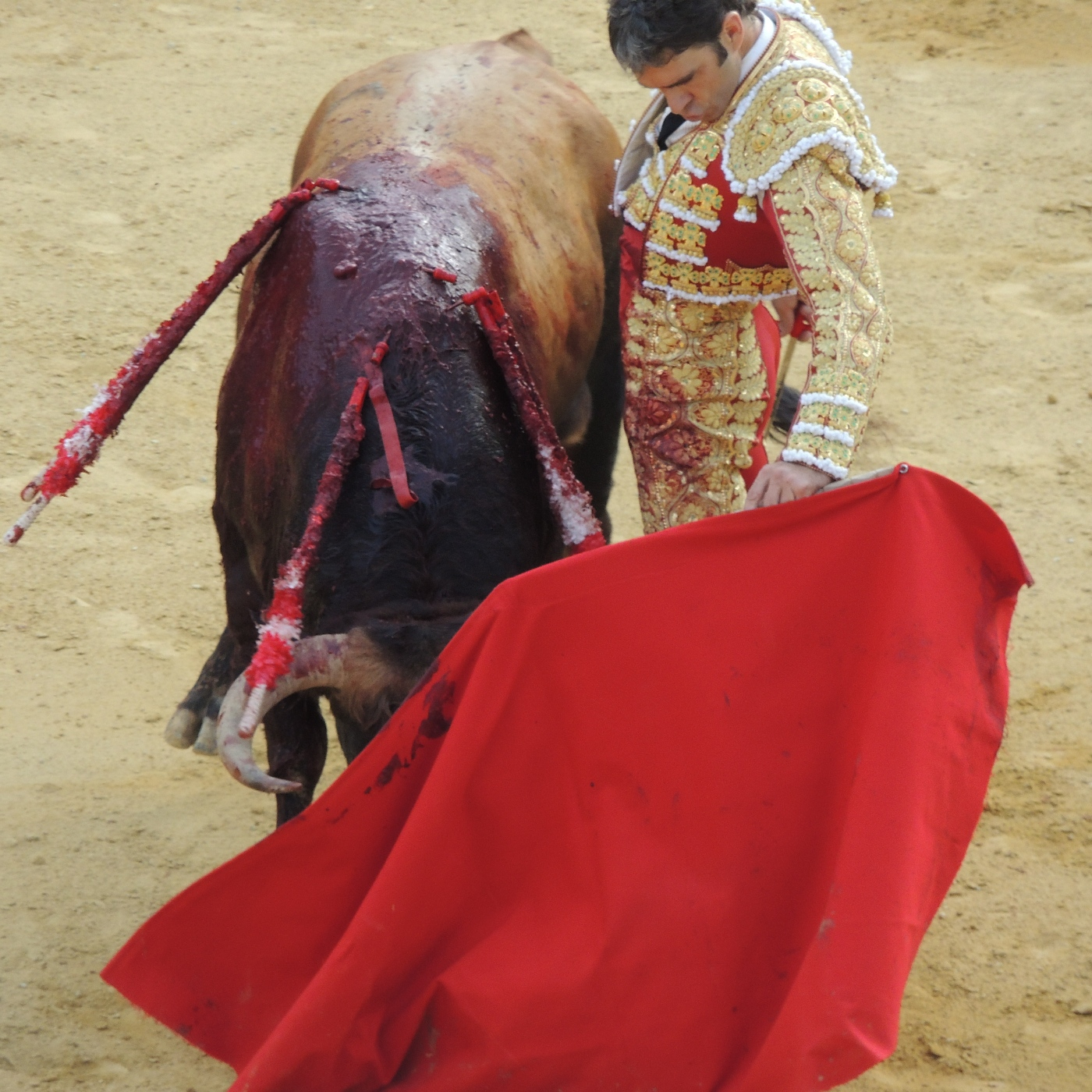Crítica Taurina