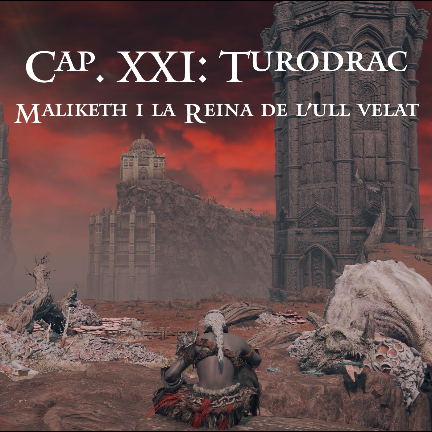 Viatge per les Terres Intermèdies