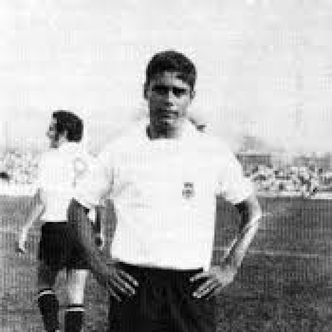 Corazón Txuri Urdin