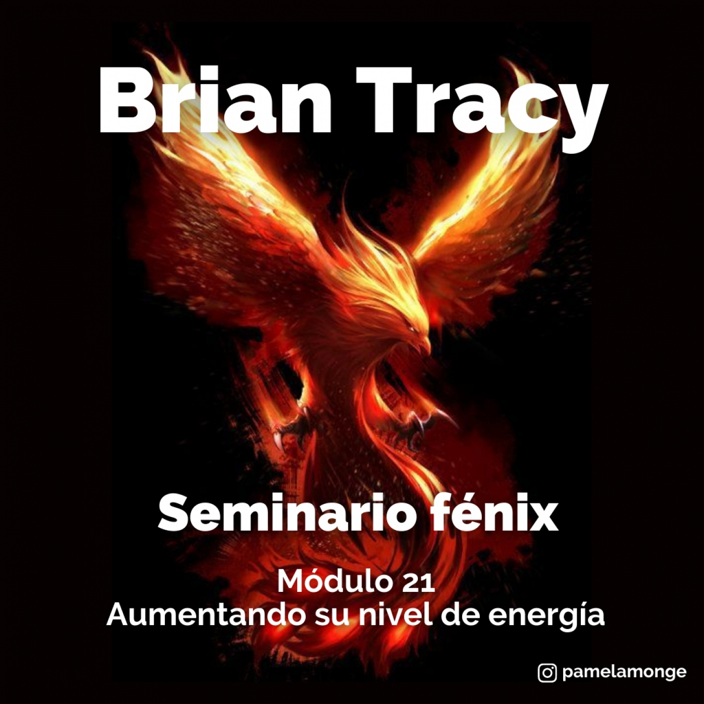 Seminario fénix - Brian Tracy