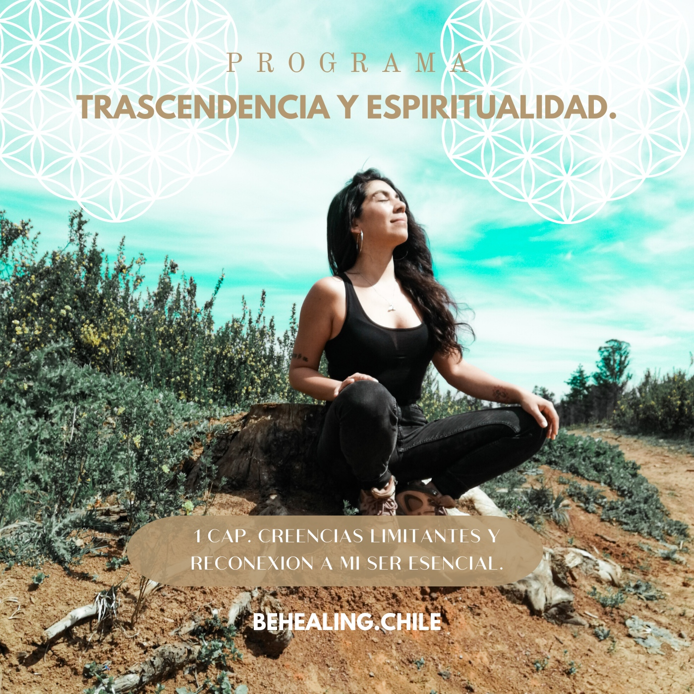Behealing.chile