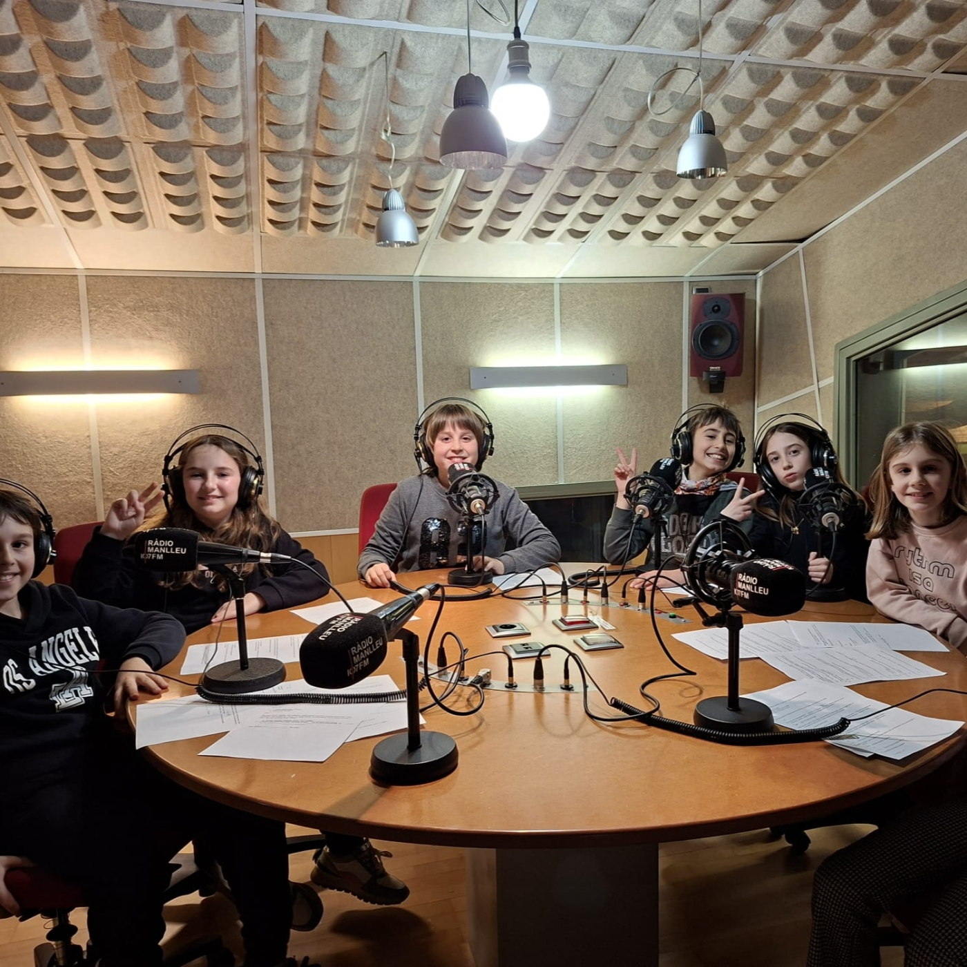 Play Afinador (Instruments de corda) - 25/02/26