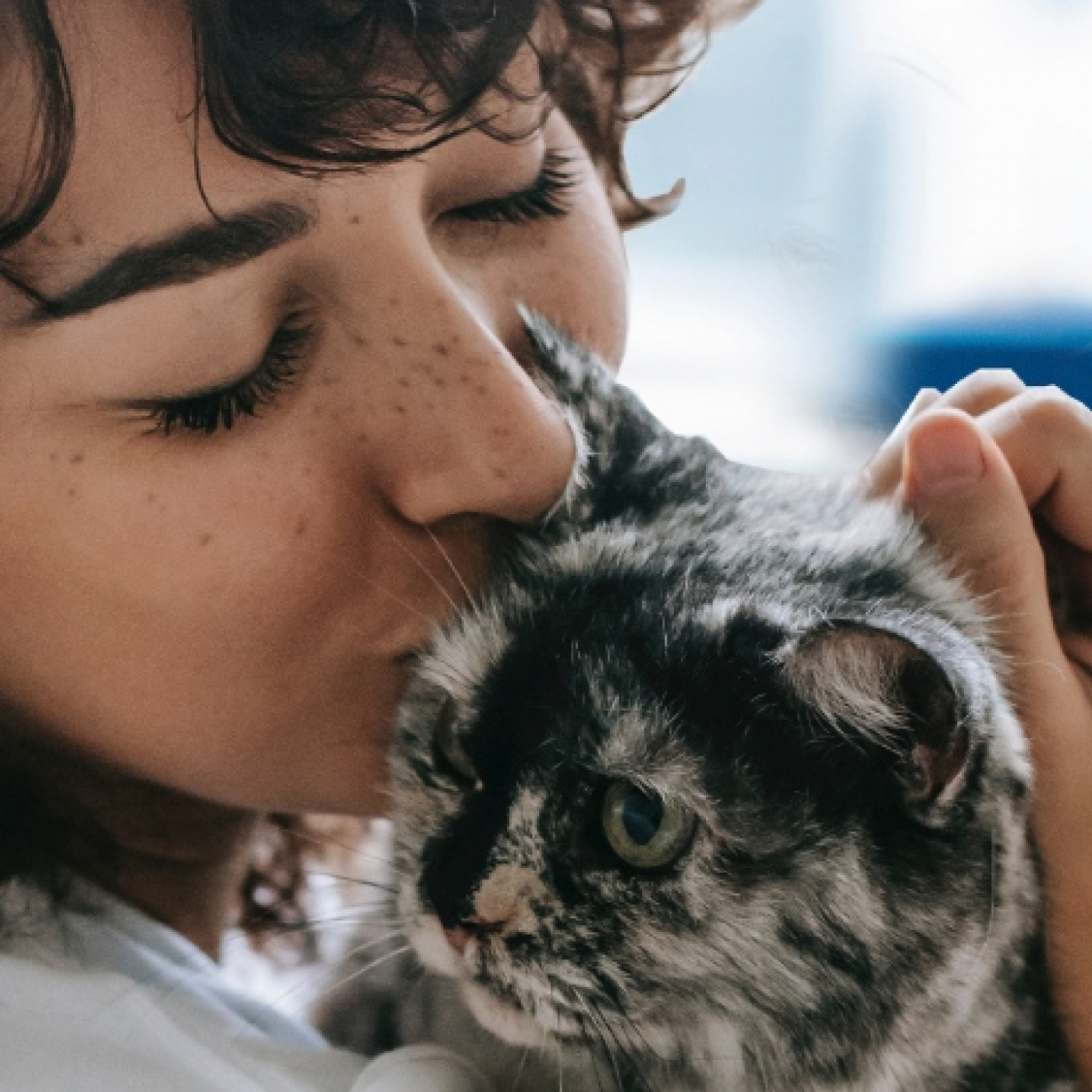 Consejos veterinarios de perros y gatos by canigat