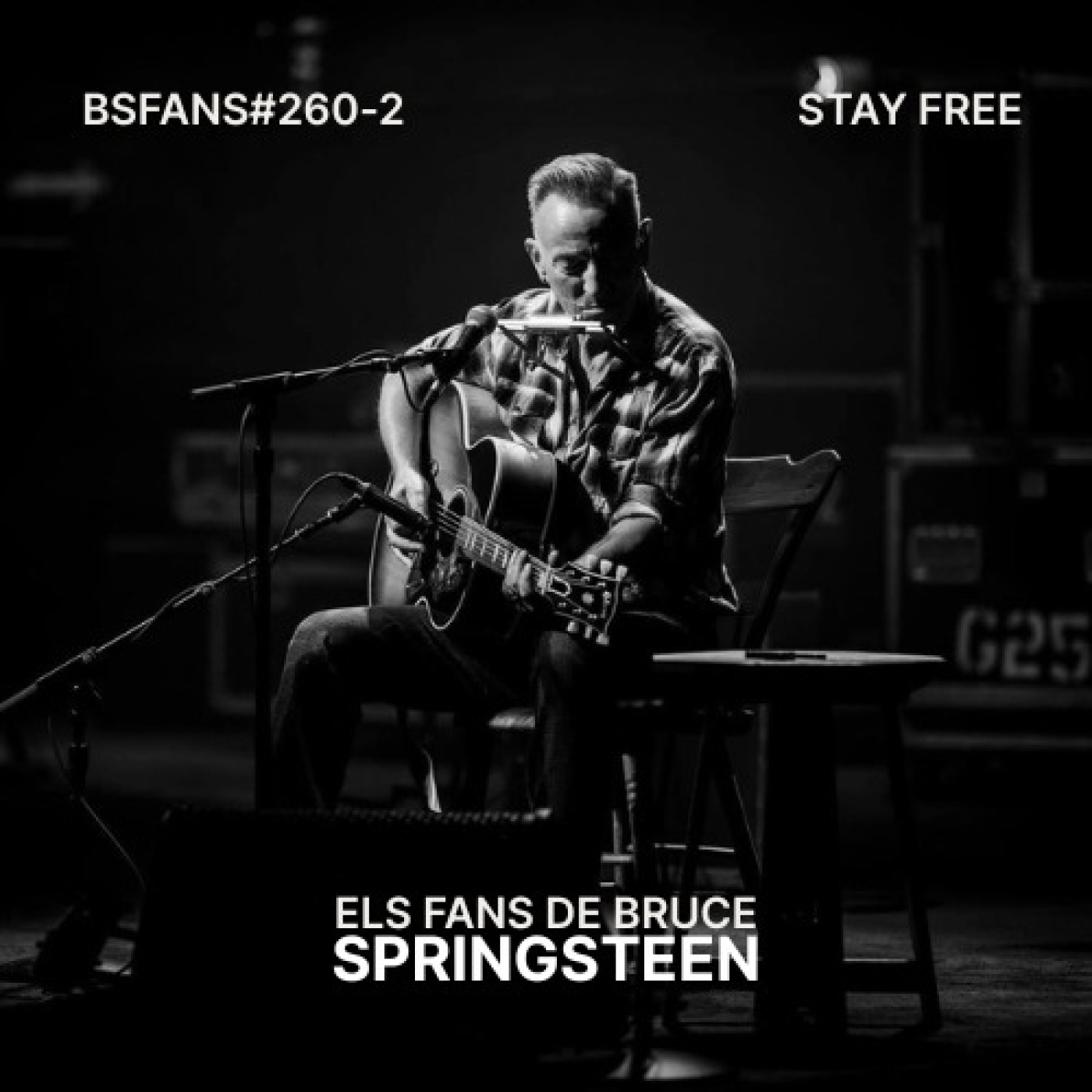 BSFANS CAP-260-2 STAY FREE episode artwork