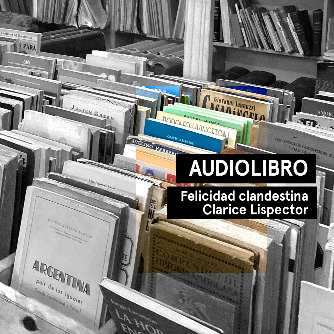 Felicidad clandestina - Clarice Lispector | Audiolibros Por qué leer | Audiocuento