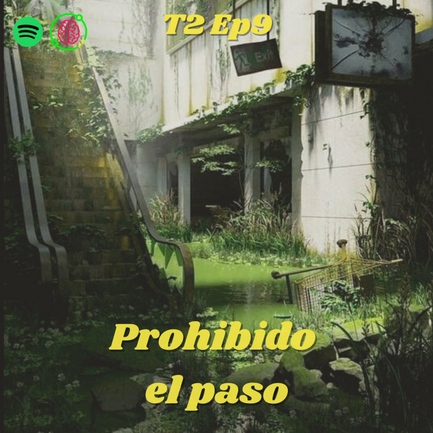 Analistas Cósmicos
