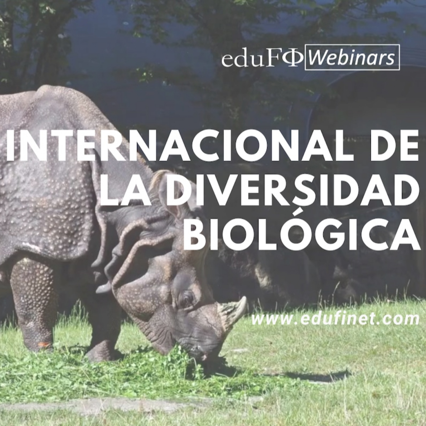 Los Podcast de Educación Financiera de Edufinet