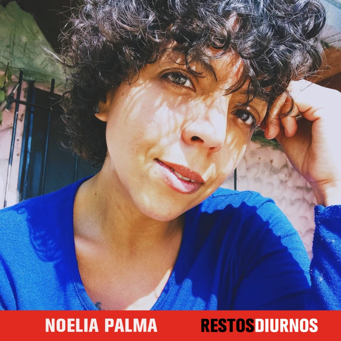Restos Diurnos Radio