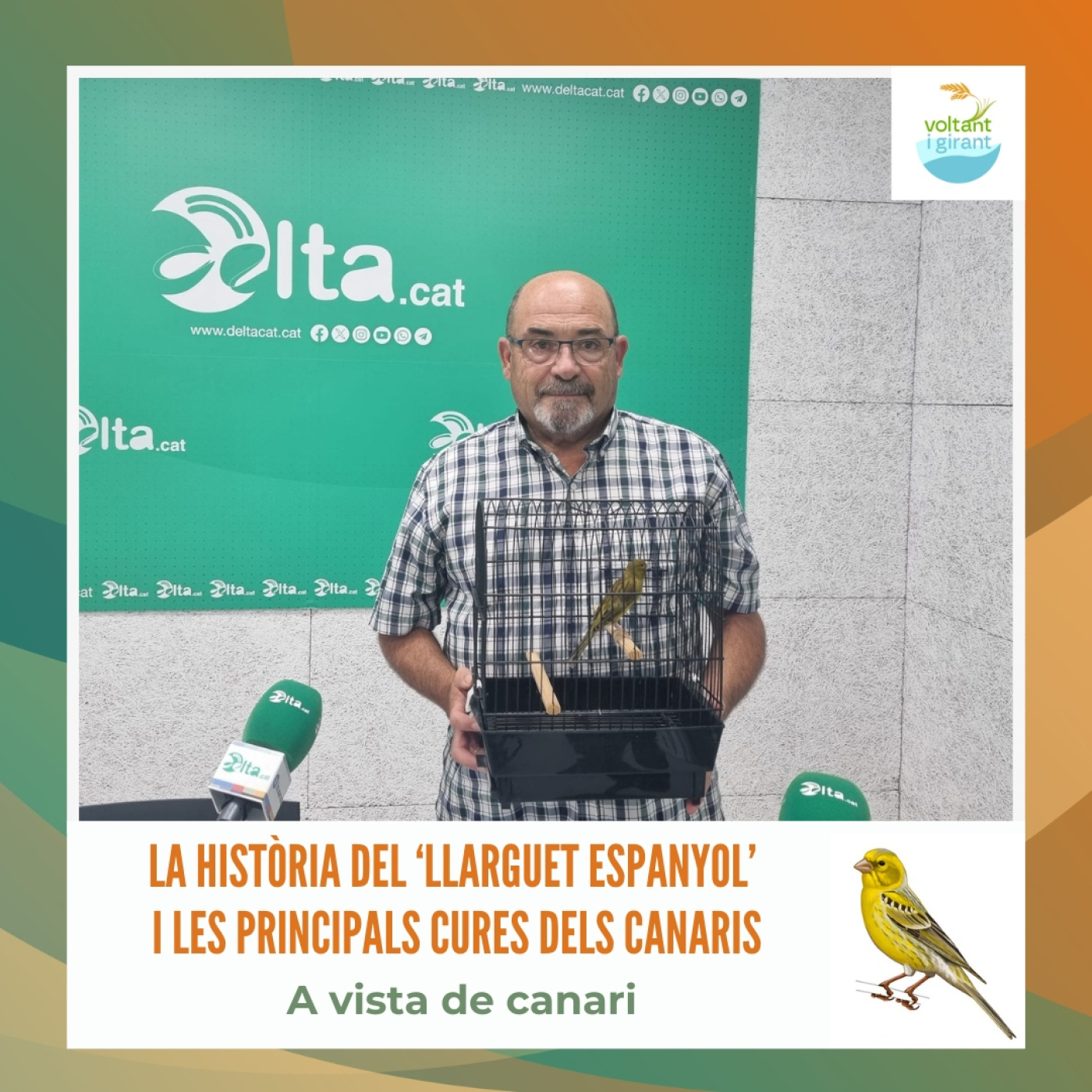 La història del ‘llarguet espanyol’ i les principals cures dels canaris episode artwork
