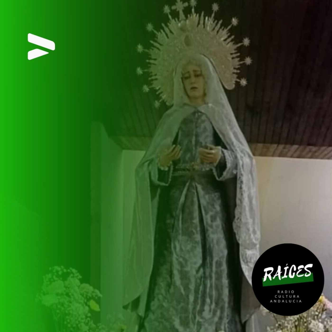 Raíces