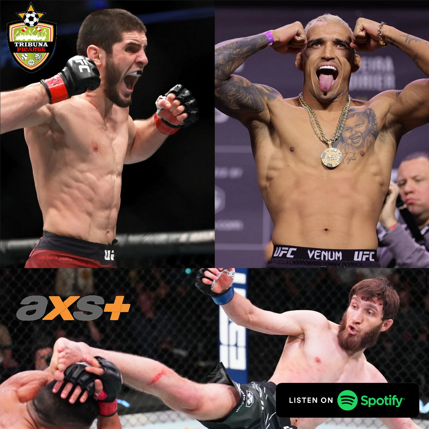 Podcast Picante - Actualidad de la UFC episode artwork