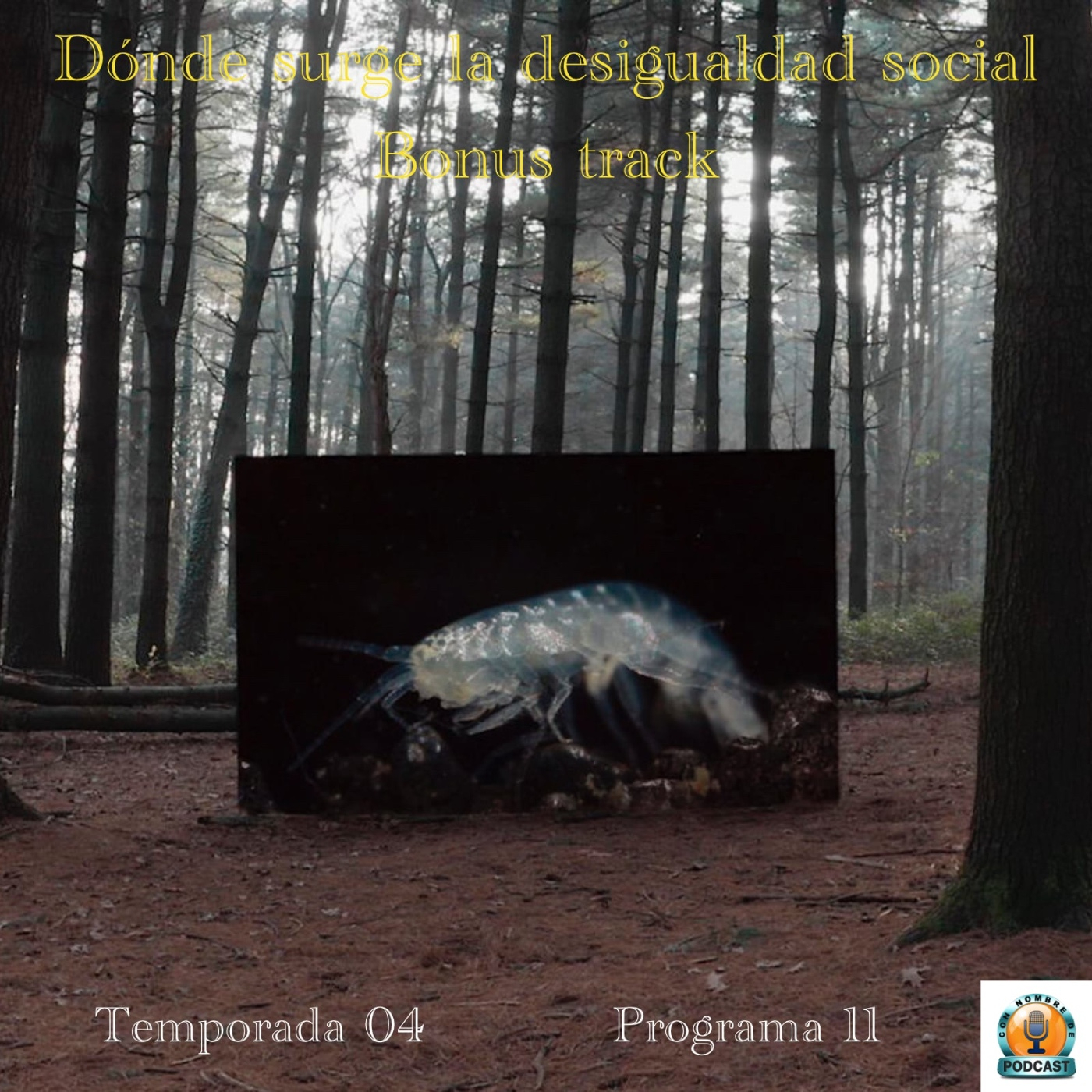 Dónde surge la desigualdad social