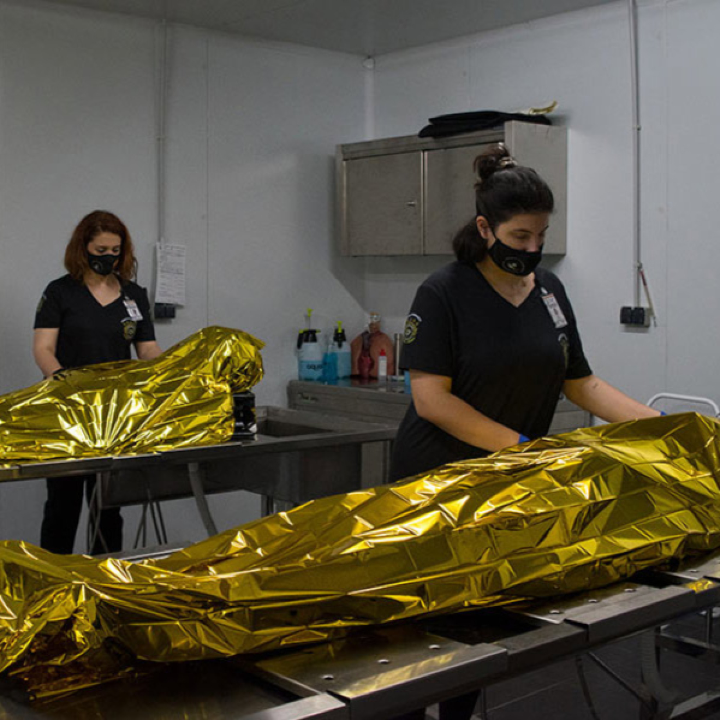 Misterio en Red 12x05: ¿Trabajo con la muerte?