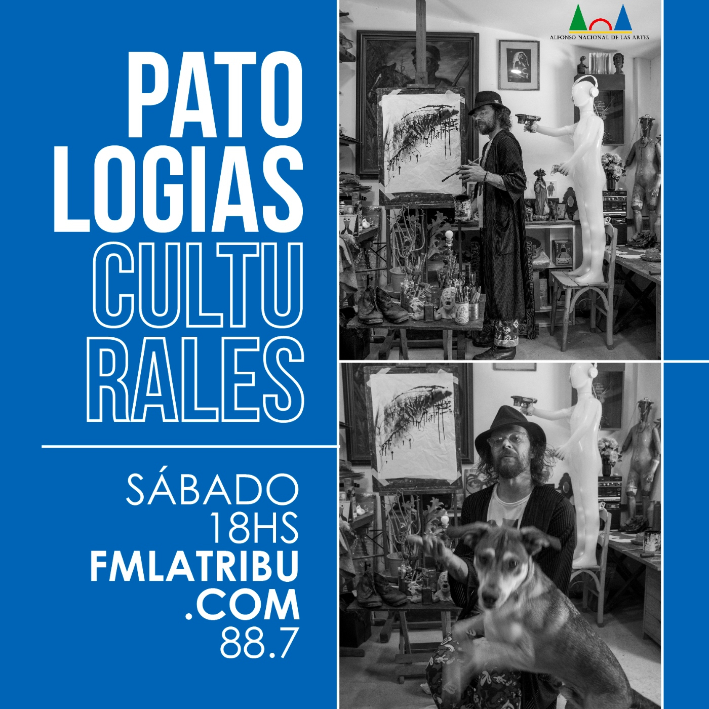 Patologías Culturales